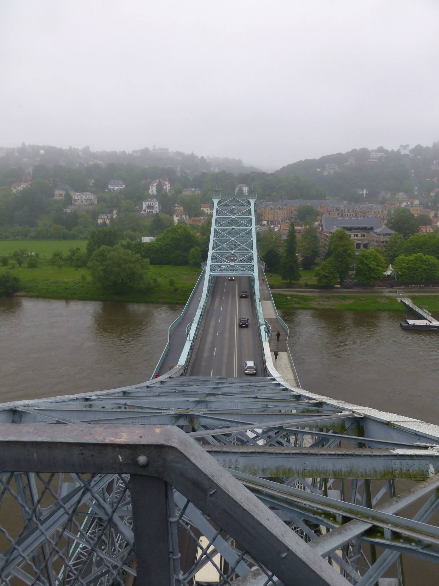 2013texblaueswunderjonnyI4